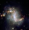 This image, taken with the European Southern Observatory's Very Large Telescope, shows the central region of galaxy NGC1313. This galaxy is home to the ultraluminous X-ray source NCG1313X-1, which astronomers have now determined to be an intermediate-mass black hole candidate. NGC1313 is 50,000 light-years across and lies about 14 million light-years from the Milky Way in the southern constellation Reticulum.