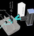 Schematic of the neutron interferometer used in the orbital angular momentum experiment.  Neutron waves enter from the left and are divided into two beams which take different paths before being reunited to form an interference pattern.  The phase flag, consisting of a 2-mm-thick layer of fused silica, is used to fine-tune the phase of the neutron sub-beams approaching the third blade.  The spiral phase plate, made from a machined block of aluminum, imparts orbital angular momentum to the neutron waves taking that particular path.  Finally, the interference pattern at the third blade is recorded in a 2-dimensional detector.  This configuration is similar to that of the Mach-Zehnder interferometer widely used in optics.