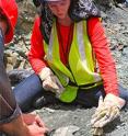 Caitlin Colleary, a doctoral student of geosciences in the College of Science at Virginia Tech, says the original color patterns of ancient animals can be determined through fossils.