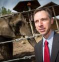 Joshua Schiffman, M.D., pediatric oncologist at the Huntsman Cancer Institute at the University of Utah, has led a study that could explain why elephants rarely get cancer. Published in the <i>Journal of the American Medical Association (JAMA)</i>, the results show that elephants have extra copies of a gene that encodes a well-defined tumor suppressor, p53. Further, elephants may have a more robust mechanism for killing damaged cells that are at risk for becoming cancerous. The findings could lead to new strategies for treating cancer in people.