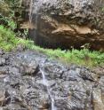 This is the entrance to the Mota cave in the Ethiopian highlands, where the remains containing the ancient genome were found.