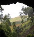 This is the view looking out from the Mota cave in the Ethiopian highlands, where the remains containing the ancient genome were found.