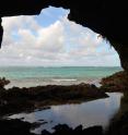 Fossils in a flooded cave reveal the impact of human activities on biodiversity. A recent National Science Foundation grant will allow University of Florida researchers to excavate in more caves, including this one on Crooked Island in the Bahamas.