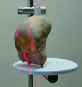 A 3-D laser scans a howler monkey hyoid bone.