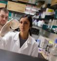 Brian Mahon and Avni Bhatt, graduate research assistants in the department of biochemistry and molecular biology, inspect a bacterium that is used to produce carbonic anhydrase. The carbonic anhydrase can potentially be used to neutralize the carbon dioxide produced by industry and power plants, their research found.