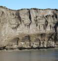 This is a general view of a 35-meter-high riverbank exposure of the ice-rich syngenetic permafrost (yedoma) containing large ice wedges along the Itkillik River in northern Alaska.