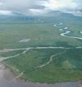 The Alec River draining into Black Lake on the Alaska Peninsula. About 300,000 sockeye salmon spawn in the Alec River and its tributaries annually, while retired Dolly Varden remain in the river year round.