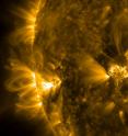 This is an image of coronal loops on the sun that are linked to magnetic fields.