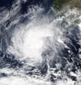 The MODIS instrument aboard NASA's Aqua satellite captured this visible image of Tropical Storm Rick off the west coast of Mexico on Nov. 19 at 20:15 UTC (3:15 p.m. EST).