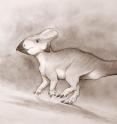 This is an illustration of the ceratopsian dinosaur from the Late Cretaceous period of eastern North America