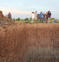 Scott Fendorf (white shirt) poses with his team above a seasonal wetland that was dug out and flooded to simulate a permanent wetland environment.