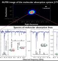 Thanks to its high sensitivity, ALMA detects many absorption lines caused by various molecules such as HCN and HCO+.