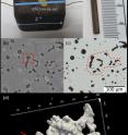 (a) The 2? casting block and a 2 mm diameter rod that is electrical discharge machining (EDM) cut out of the sample. (b) A typical slice of tomographic image obtained in the present study. (c) An un-etched metallography image of the same region in (b) under optical microscope (OM). (d) The reconstructed 3-D model of the graphite particles in (b). It shows that the 2-D features observed in (b and c) belong to a coral tree-like structure with flat, rounded branches that span ?200 &mu;m in the iron matrix. (e) The left is the slicing surface and the graphite structure beneath the surface. The right side is the same CG structure but sliced in a different orientation. It shows the same feature (red arrow) could be identified as either nodular graphite (NG) or compact graphite (CG) in 2-D analysis depending on where one slices it.