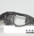 An international research partnership is revealing the first mosasaur fossil of its kind to be discovered in Japan. Not only does the 72-million-year-old marine reptile fossil fill a biogeographical gap between the Middle East and the eastern Pacific, but also it holds new revelations because of its superior preservation.