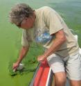 Hans Paerl of the University of North Carolina at Chapel Hill samples water during a harmful algal bloom in Lake Taihu, China.