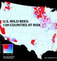 A new study of wild bees identifies 139 counties in key agricultural regions of California, the Pacific Northwest, the upper Midwest and Great Plains, west Texas, and the southern Mississippi River valley that have the most worrisome mismatch between falling wild bee supply and rising crop pollination demand. The study and map were published in the <em>Proceedings of the National Academy of Sciences</em>, and led by scientists at the University of Vermont.