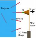 Researchers tested the force required to pluck a boron nitride nanotube (BNNT) from a polymer by welding a cantilever to the nanotube and pulling. The experimental set-up is shown in a schematic on the left and an actual image on the right.