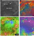 Four views of the Mare Imbrium basin and the Chang'e-3 landing site demonstrate how different the Moon looks to different types of remote sensing, underscoring the need for ground truth to calibrate the orbital observations.