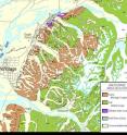 This map detail, of the Anchorage area, shows the city spread out on a plain of loose glacial deposits shown in yellow, and the bedrock making up the hillsides of Anchorage shown in green and brown. The rocks shown in green, called the Valdez Group, are sedimentary rocks formed in a trench 65 to 75 million years ago from thousands of undersea debris flows  similar to the modern Aleutian trench where oceanic crust dives under continental crust (a subduction zone). The rocks shown in brown on the map are a chaotic mix of rock types called the McHugh Complex that were also formed about the same time, adjacent to this ancient subduction zone. Some time after deposition of the Valdez Group, hot fluids deposited gold-bearing quartz veins; the veins were mined starting in the 1890's. The rocks were pushed up, and attached (accreted) to North America through plate tectonic forces after 65 million years ago. The dotted line passing through the east side of Anchorage is the approximate trace of the Border Ranges Fault system, the boundary between the accreted rocks and the rest of the continent.