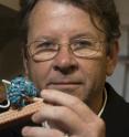 George Phillips with a 3-D model of an enzyme (blue/green) that cuts cellulose fibers (orange/gray).