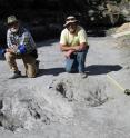 University of Colorado Denver researcher Martin Lockley (right) and Ken Cart pose beside large a dinosaur scrape they discovered in Western Colorado.