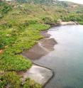 Semicircular structures on Panama's Pedro Gonzalez Island may have functioned as traps for fish and marine turtles