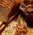 New bread wheat genome assembly, the landmark resource is now publically available to download at the European Bioinformatics Institute's (EMBL-EBI) Ensembl database for full analysis.