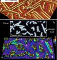 Figure 1 shows interconnected graphene nanoribbons (GNRs). The interconnection points are observed as elbow structures. The inset of (a) shows the chemical structure of an elbow interconnection point of two chiral-edge GNRs. The top panel of (b) shows the scanning tunneling microscopy topograph, highlighting a single GNR and a pair of connected GNRs (elbow). The bottom panel of (b) shows the local density of states (LDOS) of these two structures share the same electronic architecture, including the elbow interconnection point. This indicates that electronic properties, such as electron and thermal conductivities, should be comparable between termini 1-2 and termini 3-4.