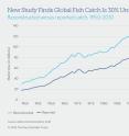 This graph shows reconstructed versus reported catch, 1950-2010