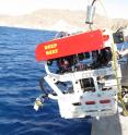 Soft robotic gripper is attached (lower left) to the remotely operated vehicle (ROV) as it is lowered into the Red Sea for a test dive.