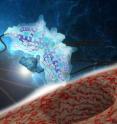 This is an illustration of the PNNL team's technology where a vitamin mimic (small blue structure) binds to a protein (larger coiled structure) to gain entry into the bacterium Chloroflexus aurantiacus.