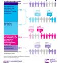 Routes to diagnosis and stage at diagnosis for all cancers in England, 2012-2013.