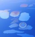 Tiny bubbles of oil and gas rise from mile-deep vents on the seafloor. When they burst at the surface, the oil spreads into patches of rainbow sheen the size of dinner plates. A new study finds microbes near the surface are benefiting from turbulence that accompanies the rising bubbles.