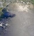 Surface slicks of oil in the Northwestern Gulf of Mexico appear as white features in the center of the image. The Bird's Foot Delta of the Mississippi River and New Orleans are to the top right of the image, derived from NASA's MODIS Aqua sensor.