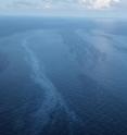 Natural oil slicks as seen from an airplane flying about 1,000 feet above one of the studied regions in the Gulf of Mexico.