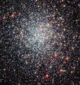 A portrait of the massive globular cluster NGC 1783 in the Large Magellanic Cloud taken by the Hubble Space Telescope. This dense swarm of stars is located about 160,000 light years from Earth and has the mass of about 170,000 Suns. A new study by astronomers from the Kavli Institute for Astronomy and Astrophysics at Peking University, the National Astronomical Observatories of the Chinese Academy of Sciences, Northwestern University, and the Adler Planetarium suggests the globular cluster swept up stray gas and dust from outside the cluster to give birth to three different generations of stars.