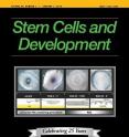 <p><a target="_blank" href="http://www.liebertpub.com/scd"><em>Stem Cells and Development</em></a> is an authoritative peer-reviewed journal published 24 times per year in print and online. The Journal is dedicated to communication and objective analysis of developments in the biology, characteristics, and therapeutic utility of stem cells, especially those of the hematopoietic system. A complete table of contents and free sample issue may be viewed on the <em>Stem Cells and Development</em> website.