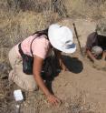 Caroline Chaboo (pink shirt) sifting out beetles from sand dug up by San hunter (right), Nyae Nyae Conservancy, Kalahari, Namibia.
