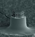 The smallest lattice in the world is visible under the microscope only. Struts and braces are 0.2 &micro;m in diameter. Total size of the lattice is about 10 &micro;m.