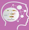 Three-Way mechanism drives pediatric low-grade gliomas.