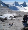 A researcher examines rocks in the West Antarctic landscape.