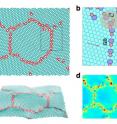 Polycrystalline graphene contains inherent nanoscale line and point defects that lead to significant statistical fluctuations in toughness and strength.