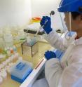 Dr Ai Nguyen performing column chemistry in UQ's world class Radiogenic Isotope Facility (School of Earth Sciences) to separate uranium and thorium isotopes in the coral samples.