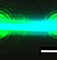 A nanowire, composed of cesium, lead and bromide (CsPbBr3), emits bright laser light after hit by a pulse from another laser source. The nanowire laser proved to be very stable, emitting laser light for over an hour. It also was demonstrated to be broadly tunable across green and blue wavelengths. The white line is a scale bar that measures 2 microns, or millionths of an inch.