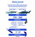 If sharks had an online social network, what would it look like?