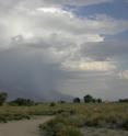 Photo of a thunderstorm in Owens Valley, California. The butterflies superimposed on this photo would not matter for the forecast.