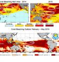 The top images show the maximum thermal stress levels measured by NOAA satellites in 2014 and 2015 along with locations where the worst coral bleaching was reported. The bottom image shows the Four Month Bleaching Outlook for February-May 2016 based on the NOAA Climate Forecast System model along with locations.
