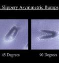 Inspired by a cactus spine, asymmetric topography guides the droplet off the bump.