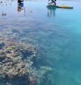 Doing fieldwork at One Tree Island in Australia's Great Barrier Reef, a team led by Carnegie's Ken Caldeira pumps alkalinity across a reef flat to measure the effects on community calcification. Caldeira has done extensive work at One Tree Island, where he studies ocean acidification, marine biogeochemisty, and chemical oceanography, all related to reef decline and the perilous situation of the world's coral reefs today. Reefs are havens for marine biodiversity and underpin the economies of many coastal communities. But they are at risk thanks to changes in ocean chemistry due to greenhouse gas emissions, pollution, warming waters, overdevelopment, and overfishing.