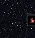 This image shows the position of the most distant galaxy discovered so far within a deep sky Hubble Space Telescope survey called GOODS North (Great Observatories Origins Deep Survey North). The survey field contains tens of thousands of galaxies stretching far back into time.

The remote galaxy GN-z11, shown in the inset, existed only 400 million years after the Big Bang, when the Universe was only 3 percent of its current age. It belongs to the first generation of galaxies in the Universe and its discovery provides new insights into the very early Universe. This is the first time that the distance of an object so far away has been measured from its spectrum, which makes the measurement extremely reliable.

GN-z11 is actually ablaze with bright, young, blue stars but these look red in this image because its light was stretched to longer, redder, wavelengths by the expansion of the Universe.